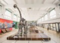El “nacimiento” de la biología en Argentina
