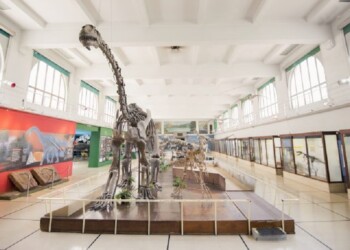 El “nacimiento” de la biología en Argentina