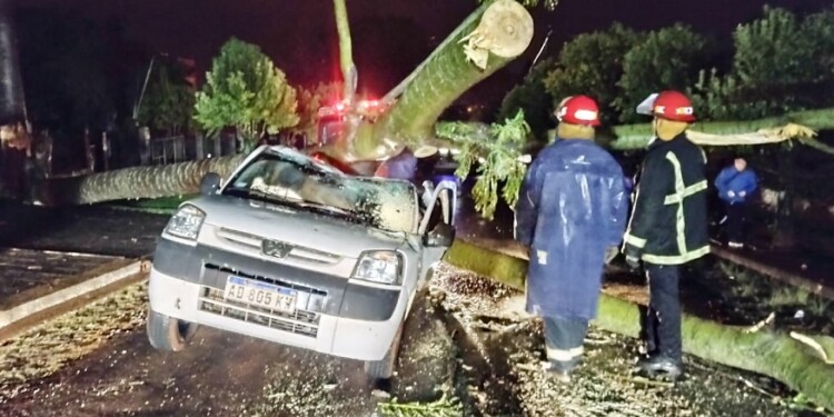 Por la tormenta, un gigantesco árbol aplastó un utilitario en Oberá