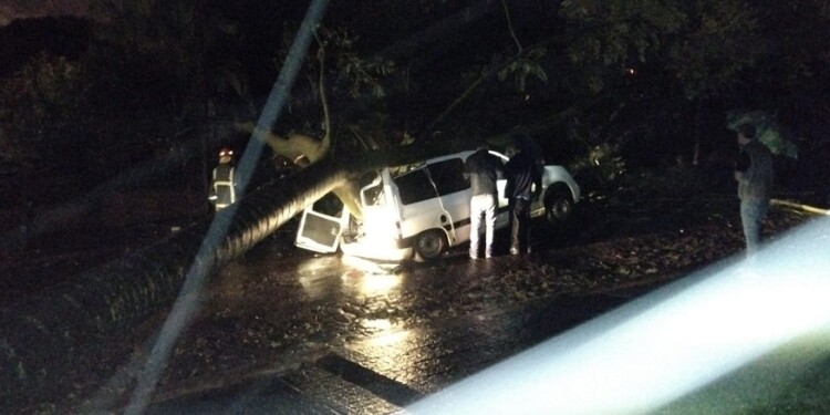 Por la tormenta, un gigantesco árbol aplastó un utilitario en Oberá