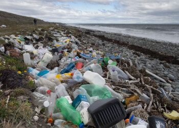 La contaminación con plásticos es uno de los problemas ambientales más graves a nivel mundial