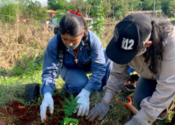 Reforestarán con 5.000 árboles zonas incendiadas en Cerro Corá
