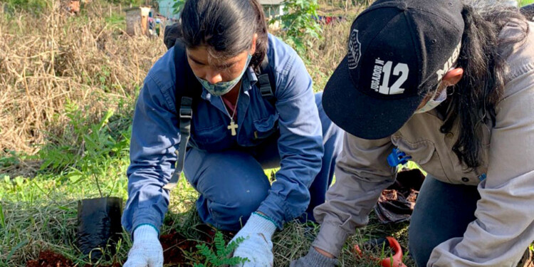 COMPROMISO. El sábado será el turno de reforestar zona de Cerro Corá.