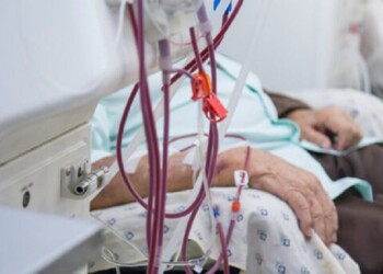 Aprobaron la creación de un programa de Salud Renal