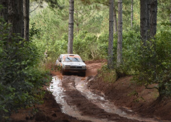 Rally: La hora del té