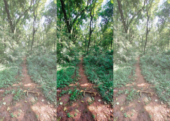 Misión Jesuítica San José de Itacuá