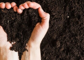 “Suelo negro”: el mapa mundial que pone en 4º lugar a Argentina