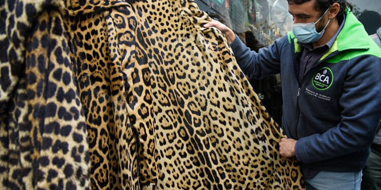 COMERCIALIZACIÓN Los productos eran ofrecidos en las redes sociales.