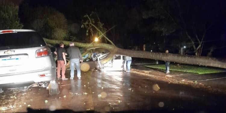 Por la tormenta, un gigantesco árbol aplastó un utilitario en Oberá