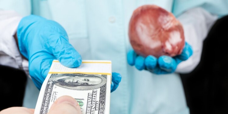 TEORÍAS. Mientras los días pasan y Loan no aparece, se abren diferentes hipótesis de lo que le pudo haber pasado.