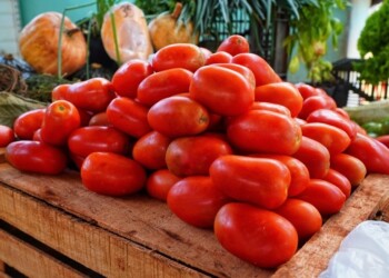 El Mercado Concentrador absorbió parte de la demanda durante la crisis del Mercado Central