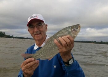 José Di Carlo y su eterno idilio con la caña