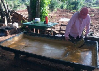 Hace de todo en la chacra, pero sobresale su producción de melaza