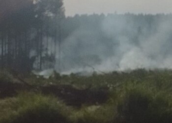 Sancionaron a empresa que realizaba quemas sin autorización