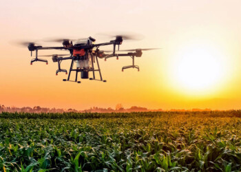 “Contar con un dron en el lote es como tener un telescopio gigante”