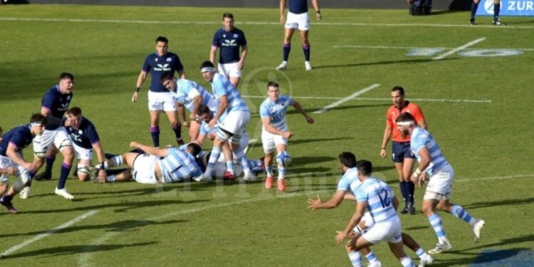 DERROTA: Los Pumas perdieron con Escocia 29 a 6 / Foto El Tribuno