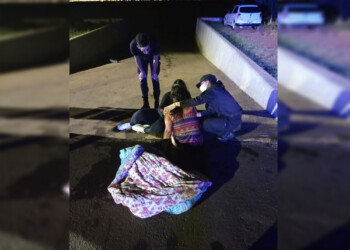 Rescataron a una mujer en el río Paraná