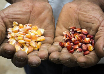 Relatos para sembrar conciencia sobre el patrimonio de los pueblos