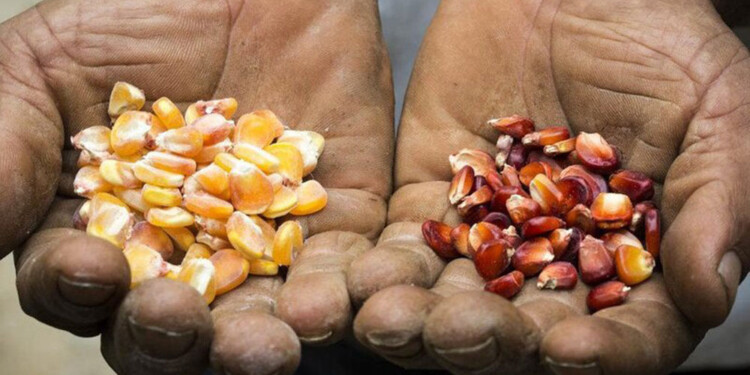 TODOS INVITADOS. Todas las personas podrán contar sus vivencias la importancia sobre la agroecología.