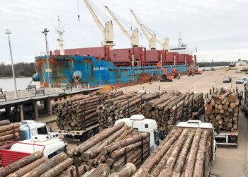 Crecieron los montos de los productos exportados por el NEA