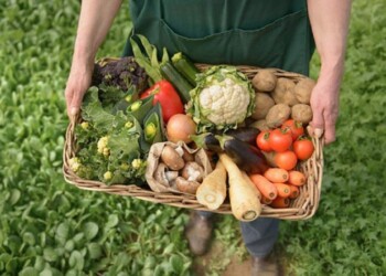 Avanza la propuesta de parques productivos sustentables en Misiones