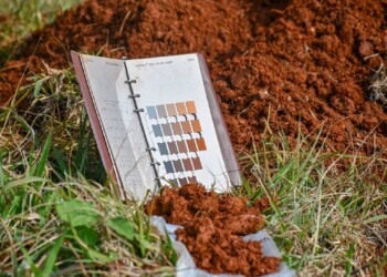 Avanzan con la elaboración de la carta de suelos de Guaraní