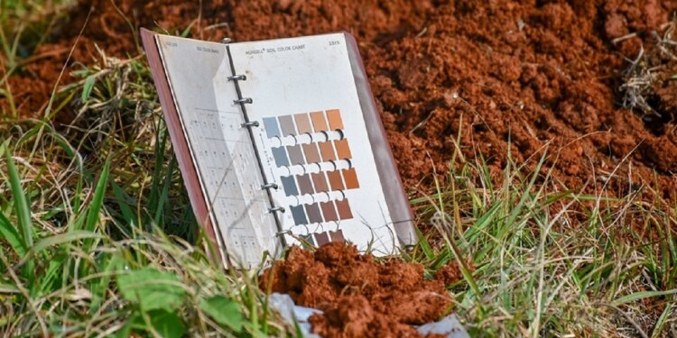 TRABAJO. Todas las muestras serán analizadas en el Laboratorio de Suelos de la Estación Experimental Agropecuaria de Cerro Azul.