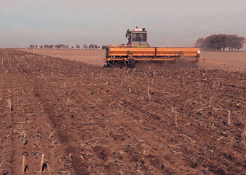 La cebada terminó la siembra con más hectáreas que el año pasado