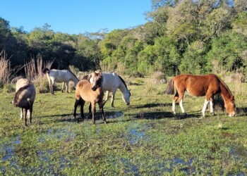La espiritualidad natural