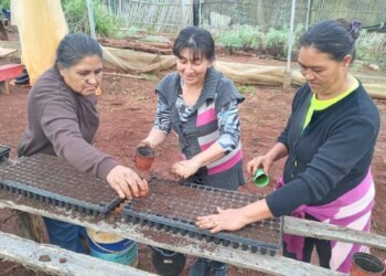 Productoras incursionan en un vivero hortícola