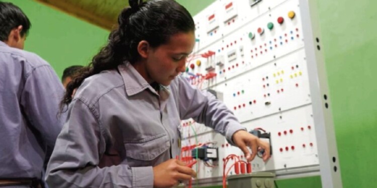 ELECCIÓN. A nivel país la orientación más elegida es la industrial, seguida de la agropecuaria y la de servicios.