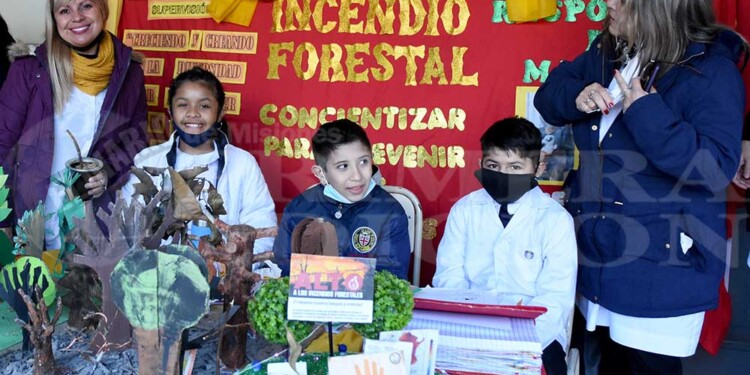 Reciclar, reutilizar y cuidar: el trabajo que reunió a alumnos primarios de 21 escuelas