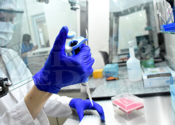 El 50% de los análisis prenatales en el IGeHM  determinó una patología genética en el bebé