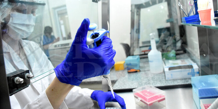 GENÉTICA. Se analizan 500 muestras para llegar a un diagnóstico y 1.500 para determinar casos judiciales.