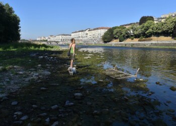 Ola de calor en Europa: varios países emitieron advertencias sanitarias