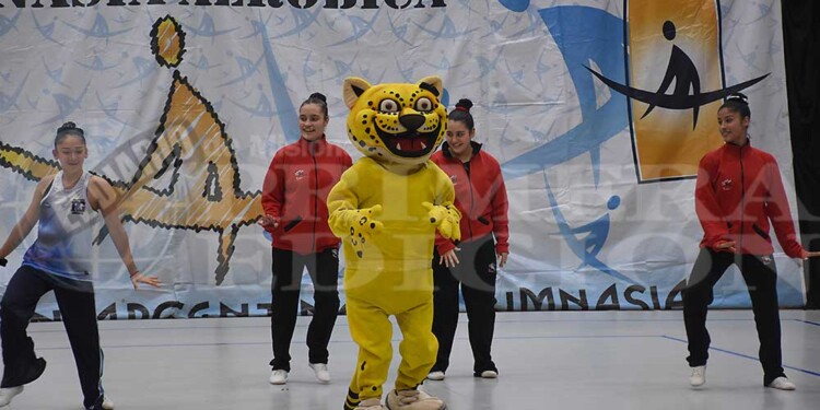 Galería: la gimnasia aeróbica, de fiesta en Posadas