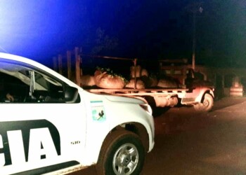Recuperaron carga de hojas de yerba mate robada