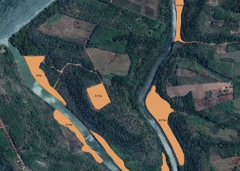 “Durante casi 10 años destruyeron el arroyo Garuhapé con total impunidad”