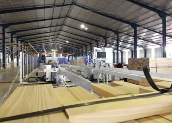 Denuncian que trabas a importación de insumos ya generan problemas