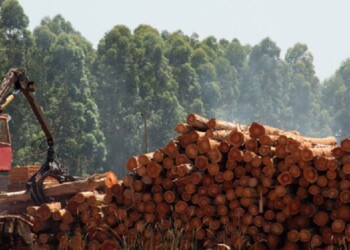 “Todavía no tenemos una solución y no podemos pagar la resina”