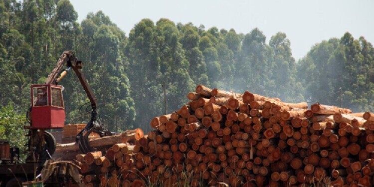 MOTIVO. “La principal queja es que se demora demasiado el sistema”, advirtieron.