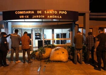 Cosechaban más de 250 kilos de yerba mate de manera ilegal