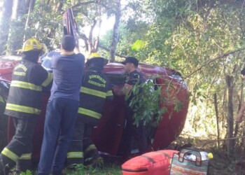 Despistó sobre la ruta provincial 19 y fue a parar al monte
