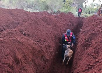 Con allanamientos en Dos de Mayo continúa hoy la búsqueda de Mario Golemba