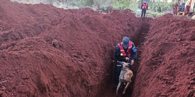 TODOS LOS RECURSOS. Búsqueda de ayer, donde además de perros se utilizan drones, georradar, máquinas retroexcavadoras y otras herramientas.