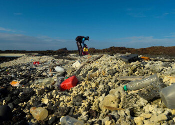 Medidas contra el cambio climático: convertirán miles de botellas de plástico en ropa