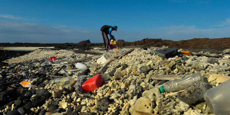 Islas Galápagos (Foto: EFE)