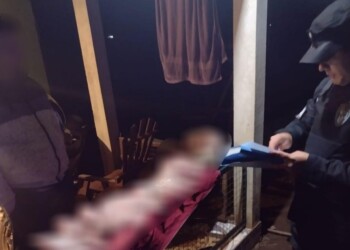 Secuestraron 20 kilos carne de cerdo tras un abigeato en San Pedro