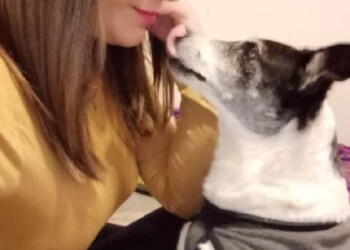 “Mala Cara” es un tierno, pero…