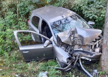 Abuelo y nieto con graves heridas tras chocar contra un árbol